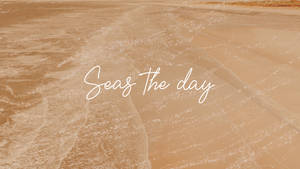 Seas The Day ครีมสวยงาม