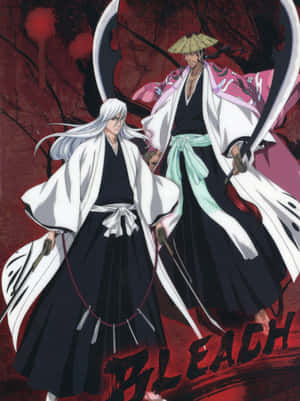 Shunsui Kyoraku หัวหน้าหน่วยผู้ทรงพลังแห่ง 13 หน่วยพิทักษ์ — กาแล็กซี่ Z TriFold วอลเปเปอร์