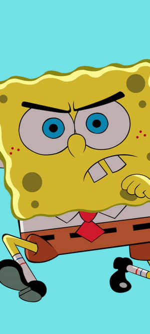 รูป Spongebob ตลก — Honor Win Turbo วอลเปเปอร์