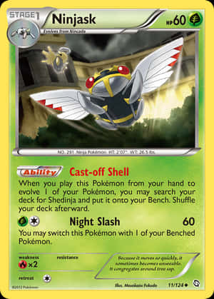 Stage 1 Ninjask การ์ดสะสม — อนิเมะ วอลเปเปอร์