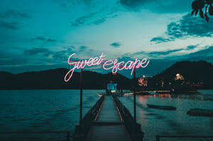 วอลเปเปอร์ Sweet Escape สวยงาม