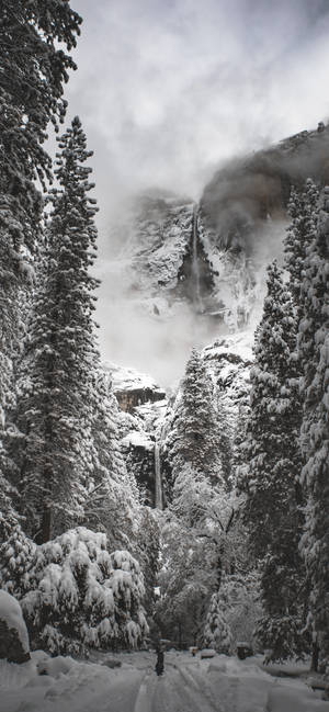 Yosemite iPhone — iPhone 18 วอลเปเปอร์