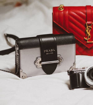 วอลเปเปอร์กระเป๋า Prada และ YSL — Oppo Find N5 วอลเปเปอร์