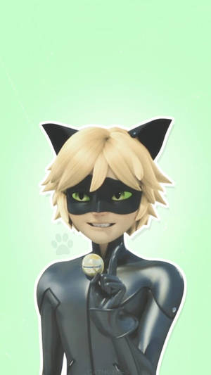 วอลเปเปอร์ท่าทางน่ารักของ Cat Noir — แมวสีดำ วอลเปเปอร์