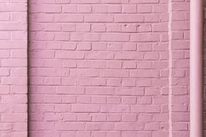 กำแพงอิฐสีชมพูพาสเทล — Pastel ชมพู วอลเปเปอร์