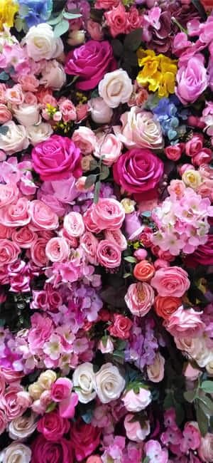 พื้นหลังกุหลาบ — CMF Phone วอลเปเปอร์