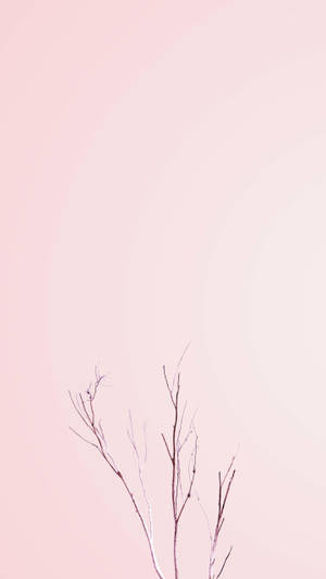 ก้านพืชเปลือยสีชมพูพาสเทลสำหรับiPhone — Floral iPhone วอลเปเปอร์