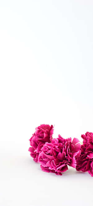 1080x2400 — 1080x2400 วอลเปเปอร์