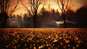 พื้นหลังฤดูใบไม้ร่วงที่สวยงาม — สุนทรียภาพแห่งฤดูใบไม้ร่วง วอลเปเปอร์