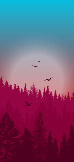 Night Forest — iPhone 16e วอลเปเปอร์