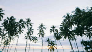 ภาพชายหาดสวยงาม — สวยงามชายหาด วอลเปเปอร์