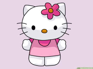 รูปภาพคิตตี้ — ฮัลโลวีนคิตตี้ GIF วอลเปเปอร์