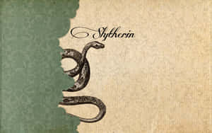 ภาพ Slytherin Aesthetic