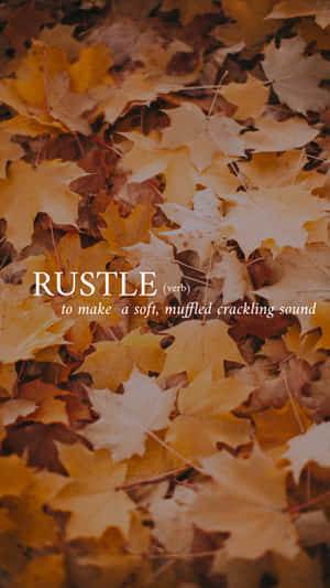 ภาพถ่ายคำสวยงาม — คำสวยๆ GIF วอลเปเปอร์