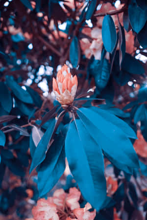 ภาพที่ไม่ซ้ำใคร — หัวเว่ย เมทแพด เอดจ์ วอลเปเปอร์