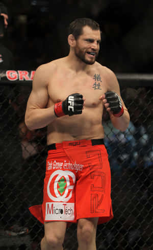 จอน ฟิทช์ ยืนในแปดเหลี่ยม UFC 141 — RedMagic Tablet วอลเปเปอร์