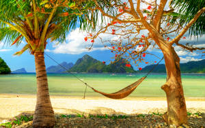 ฤดูร้อนที่ดีที่สุด