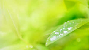5120x2880 — 5120x2880 วอลเปเปอร์