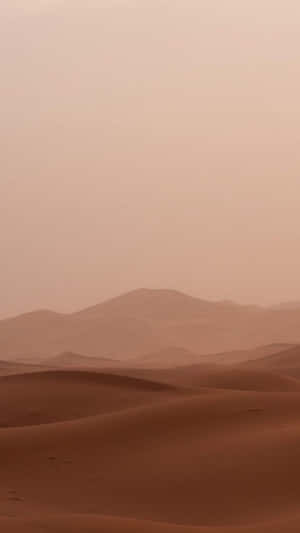ภาพสุนทรีย์โทนสีเบจ — สีเบจ สุนทรียภาพ GIF วอลเปเปอร์