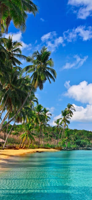Caribbean Beach — iPhone 16 Pro วอลเปเปอร์