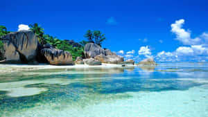 ชายหาด HD