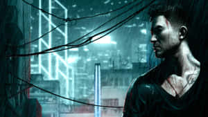 พื้นหลัง Sleeping Dogs — สลีปปิ้ง ด็อกส์ วอลเปเปอร์