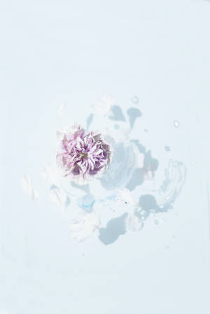 ซัมซุง S20 อัลตร้า สีชมพูบานสะพรั่ง