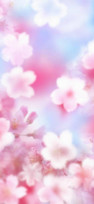 Zoom Flower — iPhone 17 Pro Max วอลเปเปอร์