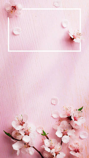 การออกแบบสไตล์ญี่ปุ่นโรสโกลด์อีสเทติก — Rose gold สายมินิมอล วอลเปเปอร์
