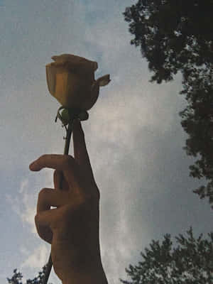 สุนทรียภาพวินเทจเกรันจ์