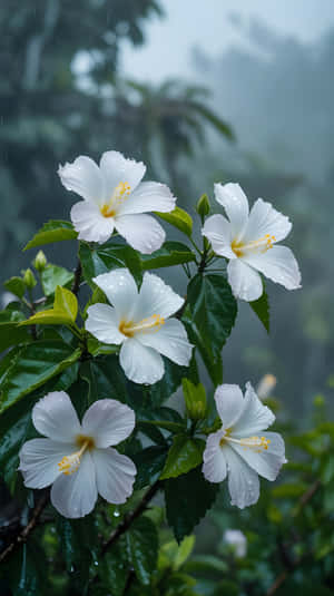 ธรรมชาติ,ดอกไม้,ลายดอกไม้,พื้นหลัง,ฤดูใบไม้ผลิ,ฝน,ต้นไม้,สีเขียว,เขตร้อน,ผลิบาน,สวน,สวยงาม,ใบไม้,มาโคร,ธรรมชาติ,ดอกไม้สีขาว,สุนทรีย์,ai สร้างสรรค์,สร้างสรรค์โดย ai,วอลเปเปอร์ วอลเปเปอร์