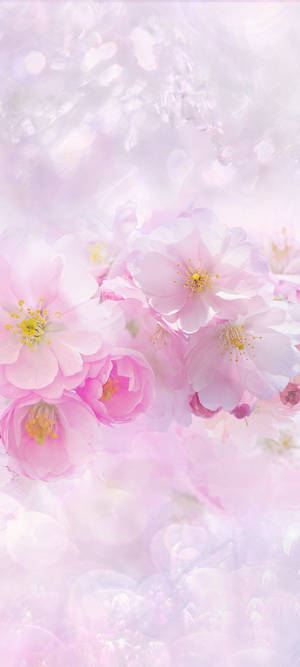 Beautiful Spring — Honor Play10 วอลเปเปอร์