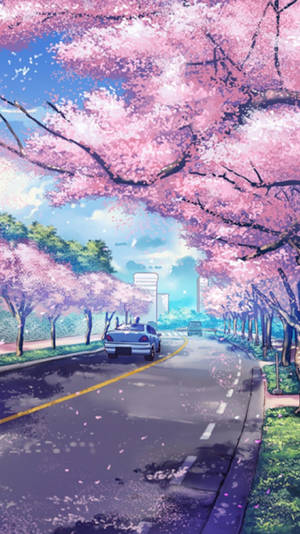 วอลเปเปอร์ดอกซากุระอนิเมะสำหรับ iPhone — Floral iPhone วอลเปเปอร์