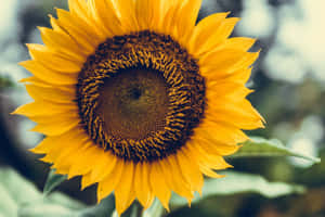 ภาพสวยงาม
