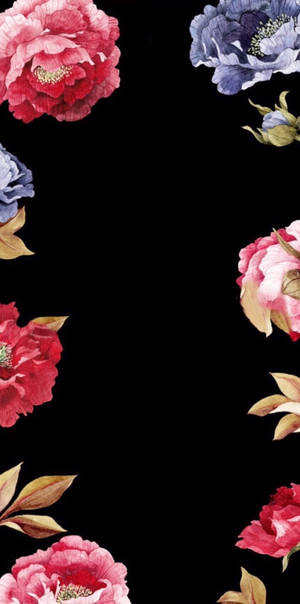ดอกไม้กรอบดอกไม้ iPhone — Floral iPhone วอลเปเปอร์