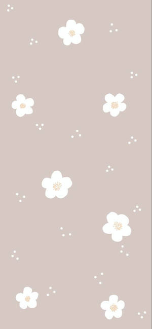 ดอกไม้สีขาวน่ารักเรียบง่ายไม่มีก้าน — น่ารัก สวยงาม GIF วอลเปเปอร์