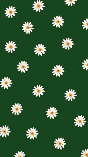 ดอกไม้สีขาวบนพื้นหลังสีเขียวเข้ม — ดอกไม้สวยงาม วอลเปเปอร์