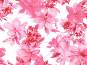 ดอกไม้สีชมพู