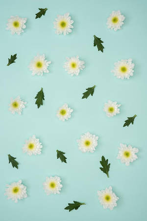 ดอกไม้สีฟ้าพาสเทลสำหรับ iPhone — พาสเทลไอโฟน วอลเปเปอร์