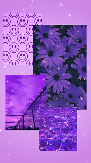 วอลเปเปอร์ดอกไม้สีม่วงสวยงามตระการตา — ดอกไม้สวยงาม วอลเปเปอร์