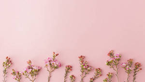 ดอกไม้เล็กสไตล์โรสโกลด์ — Rose gold สายมินิมอล วอลเปเปอร์