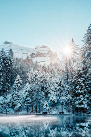 ภาพสวยงามแห่งหิมะ — หิมะสวยงาม วอลเปเปอร์