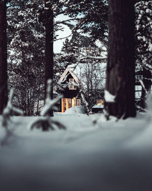 บ้านที่มีแสงไฟอบอุ่นและหลังคาปกคลุมหิมะในป่าที่มีหิมะ