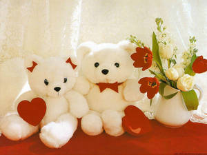 ตุ๊กตาหมีน่ารักคู่รัก