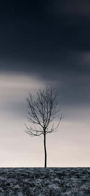 1170x2532 — iPhone 16 Pro Max วอลเปเปอร์