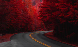 วอลเปเปรถนนสวยงามสีแดงฤดูใบไม้ร่วง — ฤดูใบไม้ร่วงสวยงาม วอลเปเปอร์