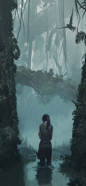 พื้นหลัง Iphone Xs Max Rise Of The Tomb Raider — Redmi 15C วอลเปเปอร์