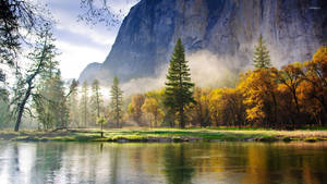 ภูเขาหินในป่าฤอกฤดูใบไม้ร่วง