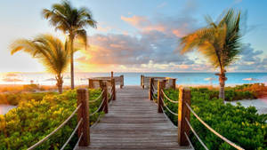 วอลเปเปอร์ทางเดินไม้ริมชายหาด — 1600x900 วอลเปเปอร์