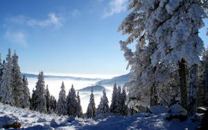 วอลเปเปอร์ทิวทัศนียภาพภูเขาเย็น